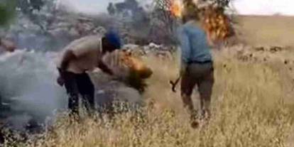 Gaziantep'te Alevler Fıstık Bahçelerini Sardı, Mahalleli Seferber Oldu