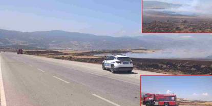 Gaziantep'te Felaket Gibi Yangın! Rüzgar Alevleri Büyüttü, Tarım Arazileri Küle Döndü