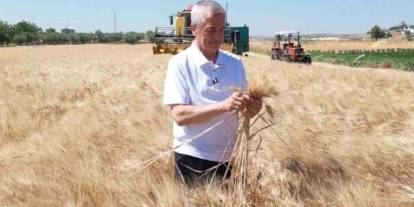 Şahinbey'de Topraktan Bereket Fışkırdı! Başkan Tarlaya İndi, Rekor Hasadı Müjdeledi