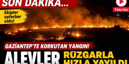 Gaziantep'te korkutan yangın! Alevler rüzgarla hızla yayıldı