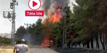 Gaziantep’te orman yangını