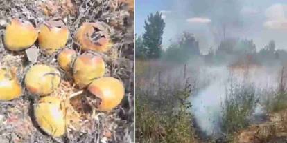 Gaziantep'te otluk alanda çıkan yangın kuş yuvalarına zarar verdi