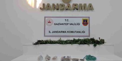 Şahinbey, Nizip ve Karkamış'ta Eş Zamanlı Baskın! Jandarma Zehir Tacirlerine Göz Açtırmadı