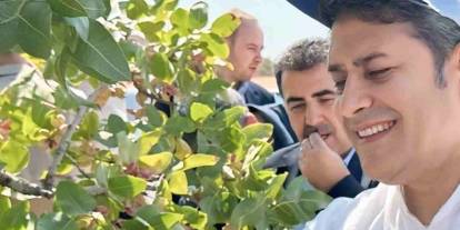 Ali Şahin Duyurdu: “Fıstık Hırsızlarına Karşı Seferberlik İlan Ediyoruz”