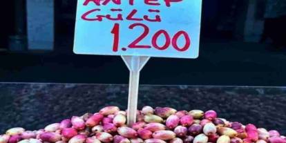 Gaziantep’te Antep Fıstığı Fiyatları Uçtu...