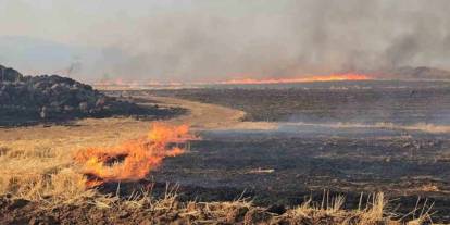 Gaziantep’te Binlerce dönüm arazi ve saman balyası kül oldu
