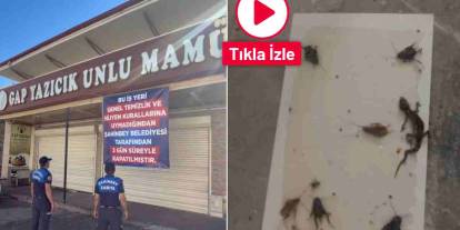 Gaziantep’te Ünlü Fırında Hijyen Skandalı! Şok Görüntüler