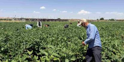 Gaziantep’te Dev Hasad Başladı