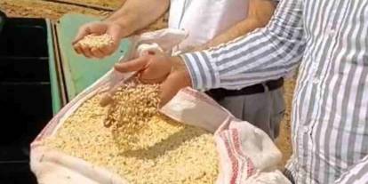 Gaziantep ve Türkiye Araban'ı Konuşuyor!