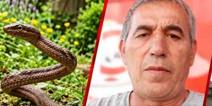 Gaziantep’te Görülmemiş Acı: Tarladaki Yılan Can Aldı!