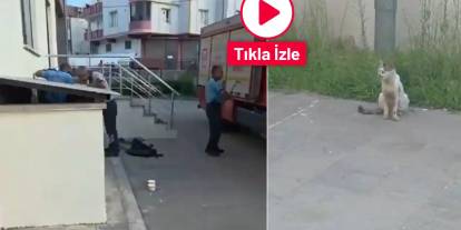 Gaziantep'te Anne Kedinin Gözü Önünde Can Pazarı!