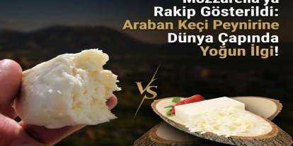 Mozzarella’ya Rakip Gösterildi: Araban Keçi Peynirine Dünya Çapında Yoğun İlgi!