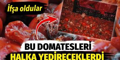 Şanlıurfa’dan Gaziantep ve Komşu İllere Salça Skandalı!