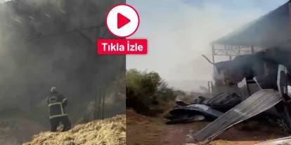 Gaziantep'te Yılların Emeği Kül Oldu! Yangın Dev Çiftliği