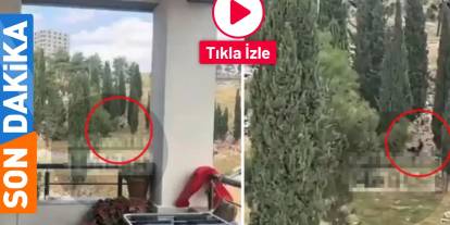 Gaziantep'in 'O' Mahallesi Fuhuş Yuvasına Döndü! İşte O Anlar