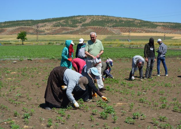 İslahiye Ziraat Odası Başkanı Köse, mevsimlik tarım işçilerini ziyaret etti