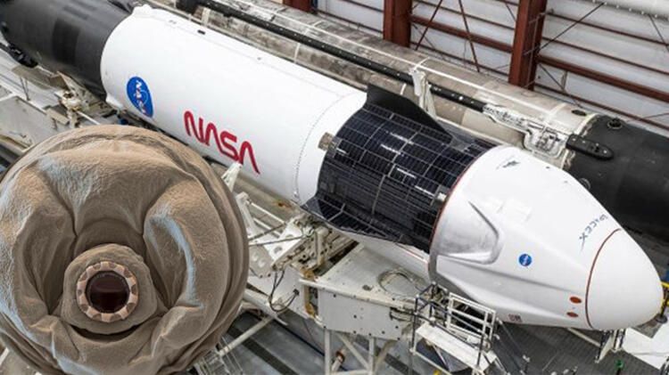 SpaceX ve NASA'dan umut olacak roket atışı!