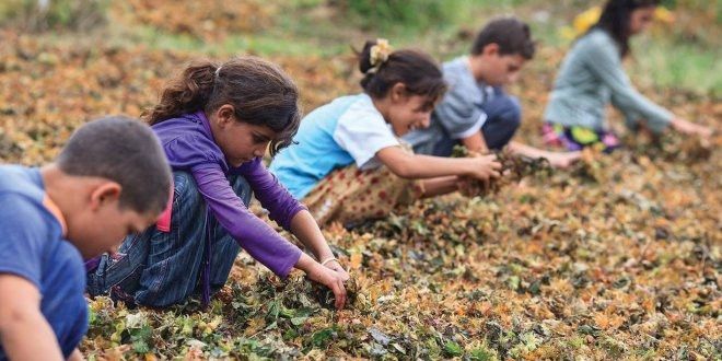 Gaziantep Çocuk İşçi Cinayetinde 2.