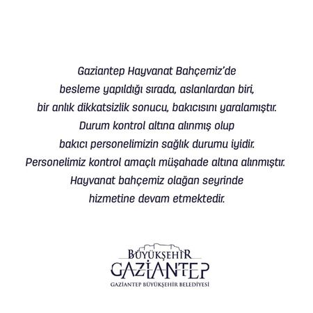 Büyükşehir'den Aslan Açıklaması