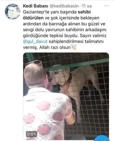 Son Dakika: Video haber...Gaziantep'te Cinayete Kurban giden Durmaz’ın vefalı köpeği ‘BULUT’ Paylaşılamıyor...