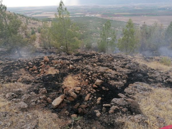 Son Dakika:Gaziantep'te Ormanlık Alanlara Yıldırım Düştü! Gaziantep’te ormanlık alanda yıldırım düşmesi sonucu yangın çıktı!