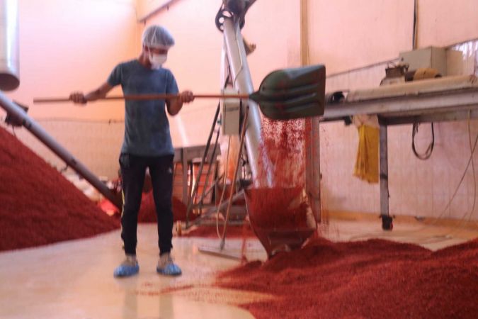 Video Haber:Küçük tesiste üretilen pul biberler Avrupa, İngiltere ve ABD’ye ihraç ediliyor