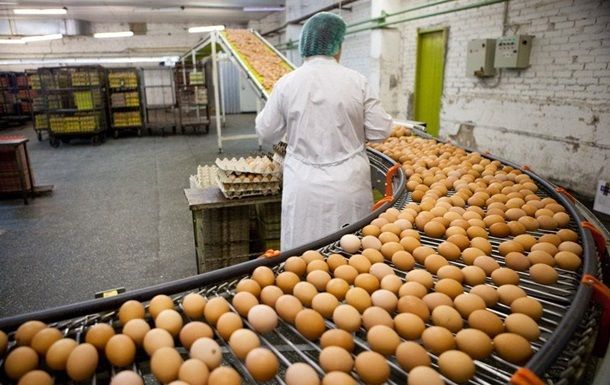 Hangi sanatçı yumurta çiftliği kurdu?  Sanatçının şok yumurta tespiti