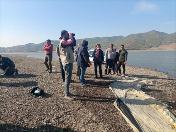Tahtaköprü Barajı'ndaki balık türleri tespit ediliyor