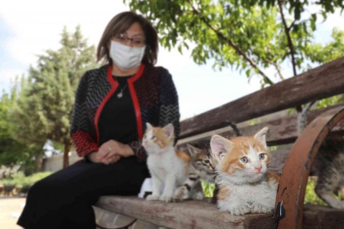 Gaziantep’te 2021’de yaklaşık 7 bin sokak hayvanı tedavi edildi