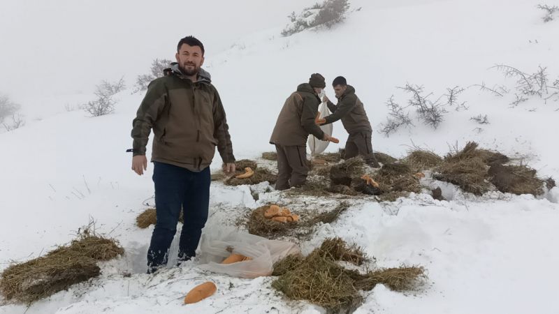 Video Haber: Gaziantep'te yaban hayvanları için doğaya 1,5 ton yem bırakıldı