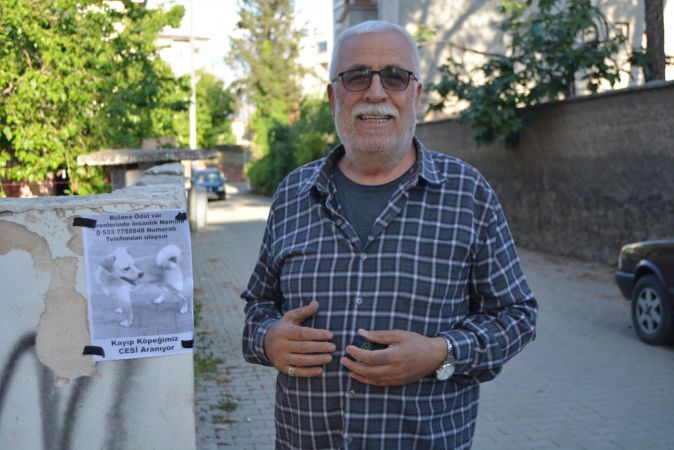 Gaziantepli hayvansever el ilanıyla kayıp köpeğini arıyor