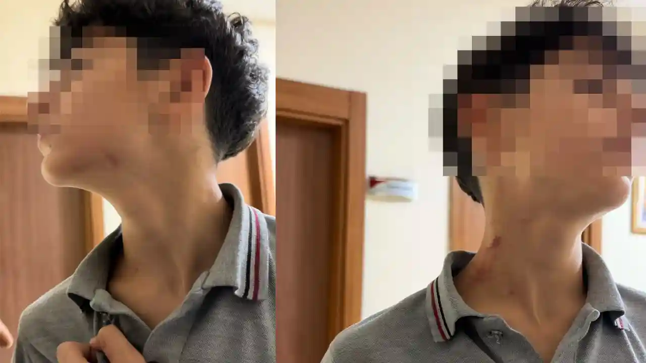 yeni-proje-131.webp